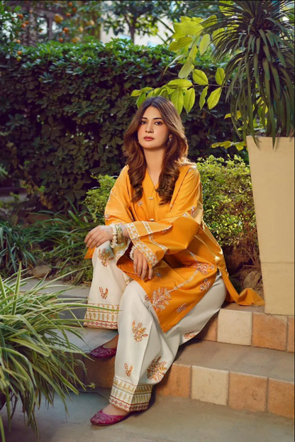 2pcs Women's Unstitched Embriodered Suit